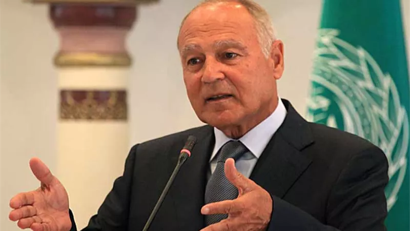 «أبوالغيط» يرحب بـ«بيان القاهرة» الداعى لتفعيل مبادرة السلام العربية