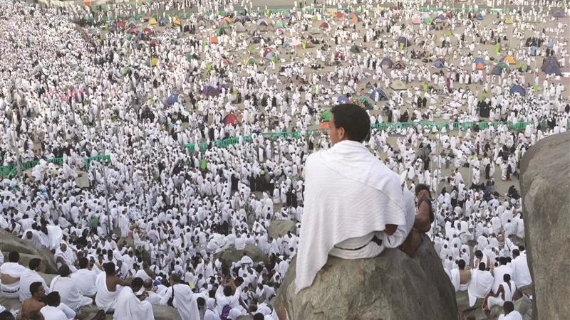 غادة والى: 10170 حاجا من الجمعيات تم تسكينهم في فنادق مكة