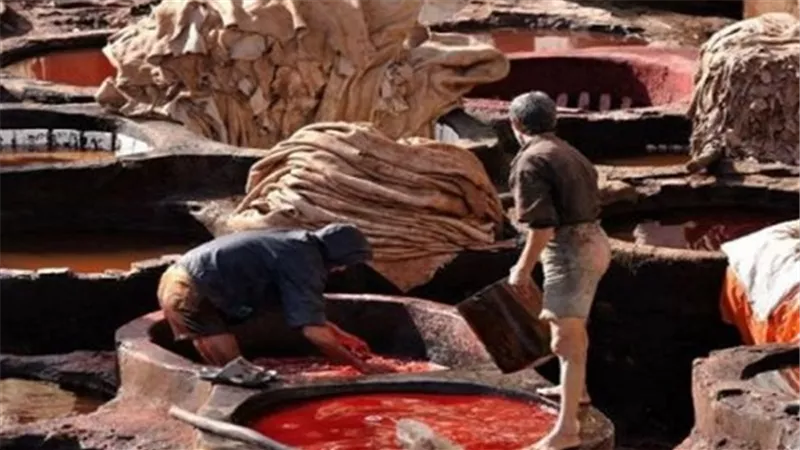 توقعات بانخفاض أسعار الجلود مع اقتراب عيد الأضحى
