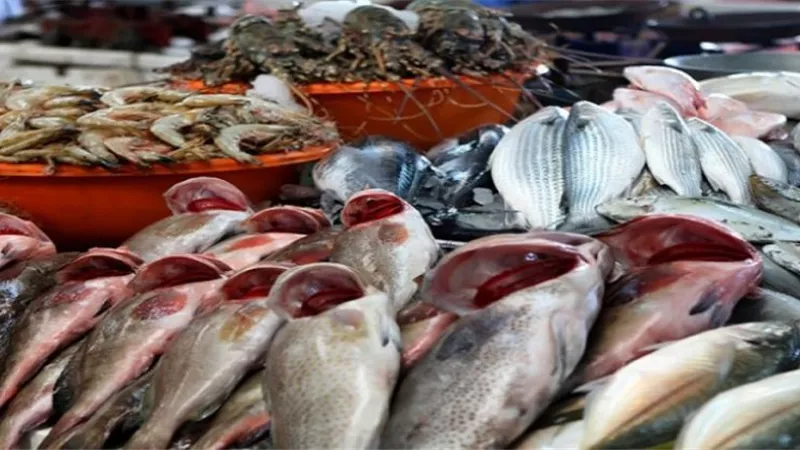 أسعار الاسماك اليوم.. وكيلو السبيط بـ90 جنيهًا