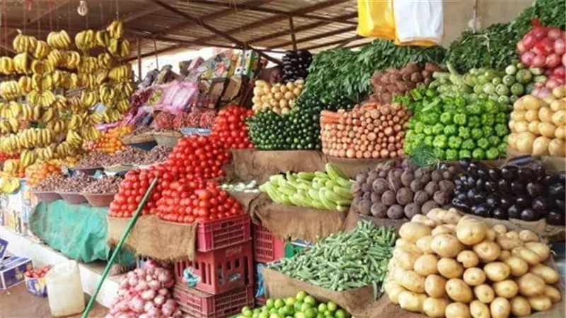أسعار الخضراوات اليوم... وكيلو الطماطم بـ5.25
