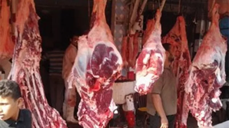 طرح ٢٢ ألف طن لحوم مجمدة بسعر ٦٠ جنيها للكيلو بالمجمعات
