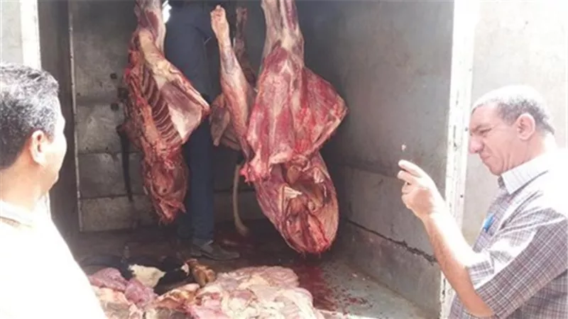 عاجل.. ضبط 11 طن لحوم مذبوحه خارج المجازر الحكومية بـ«الجيزة»