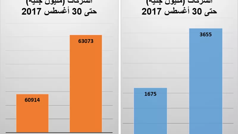 مؤشر الأرباح بـ«قطاع الأعمال» يسجل 3.655 مليار جنيه بنهاية أغسطس 2017