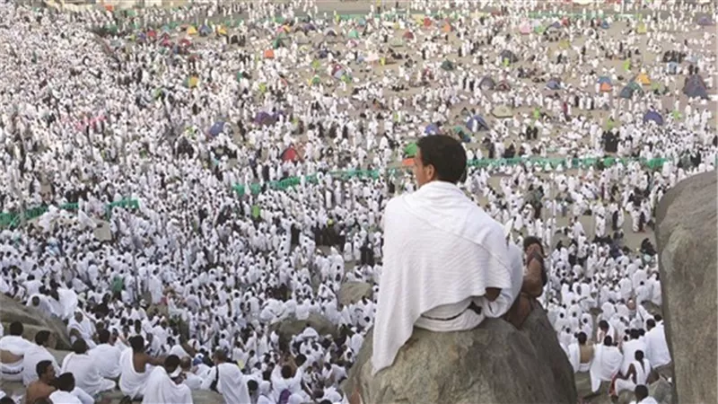 من عرفات الله.. ضيوف الرحمن يؤدون الركن الأعظم من الحج  