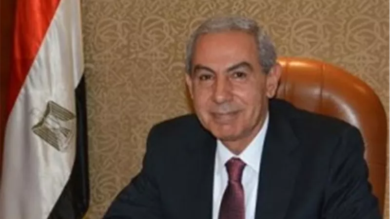 توافق مصرى صينى على أهمية تحرير التجارة ومساندة الدول النامية 