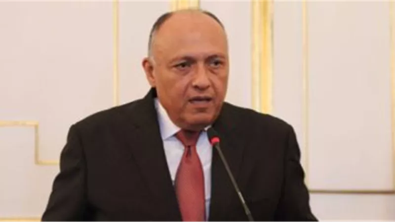 مصر تطالب بحماية دولية لمسلمي الروهينجا