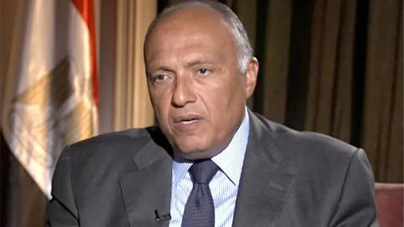 شكري: يفتتح المؤتمر السنوي لرابطة مراكز التدريب على حفظ السلام غدًا