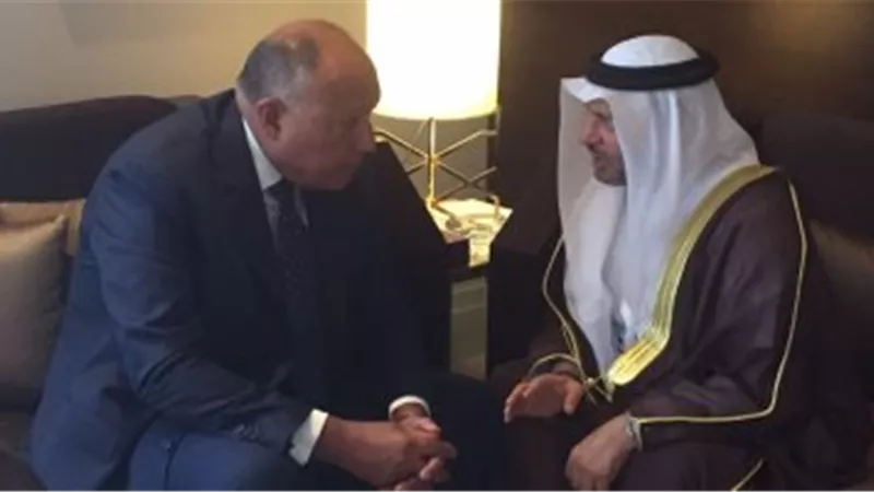 «شكرى» و«قرقاش» يبحثان مستجدات أزمة قطر.. ويؤكدان تكثيف جهود مكافحة الإرهاب