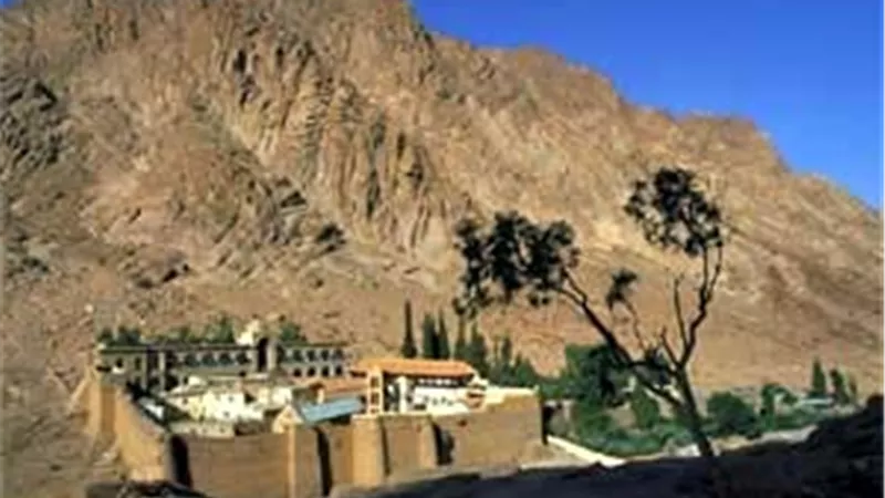 معسكر تدريبى لإعداد باحث بيئى صغير بـ«جنوب سيناء»