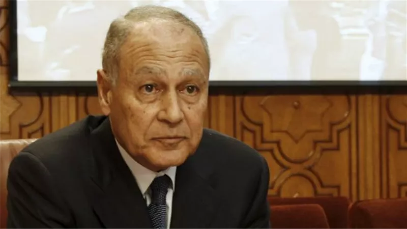 خلال لقائه «دى ميستورا».. «أبو الغيط» يدعو للتوصل لتسوية مناسبة للأزمة السورية