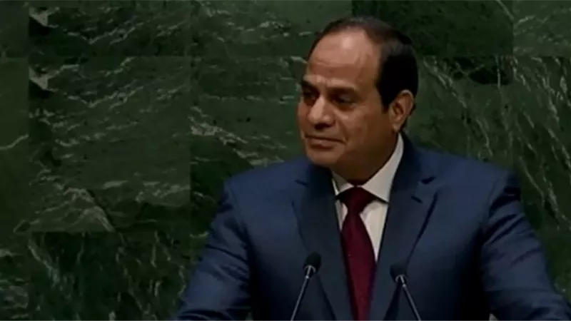 السيسي يلتقي نائب رئيس