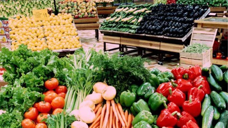  الخميس.. الجمعية اليونانية تبحث التعاون مع مصر في مجال الفاكهة والحاصلات الزراعية 