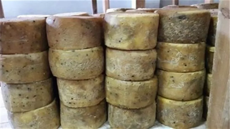 القبض على صاحب ثلاجة بـ«الجمالية» لحيازته 3.4 طن جبن فاسد 