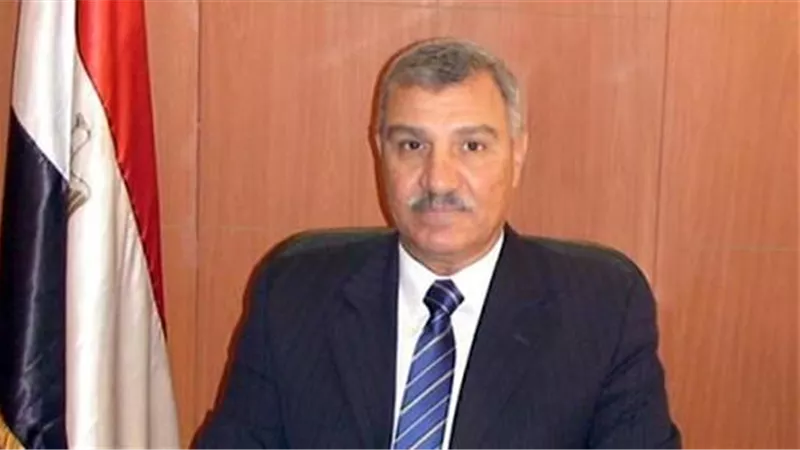 شركة كورية كبرى تبحث إنشاء منطقة صناعية في مصر