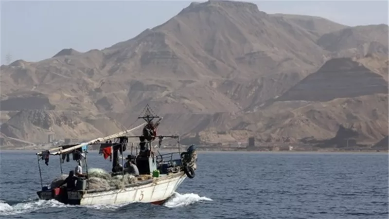 ميناء دمياط يستقبل 11 سفينة في 24 ساعة