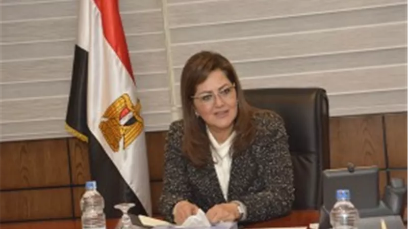 وزيرة التخطيط تبرز أهمية التعداد الإلكترونى فى خطة التنمية 2030