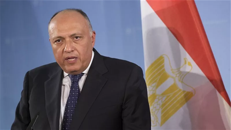 وزير الخارجية يلتقى السفير الإيطالى الجديد 