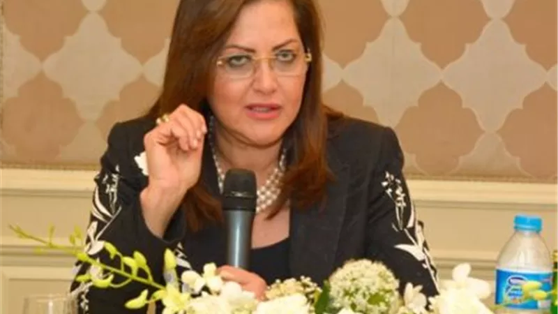 «التخطيط» تعتمد 245 مليون جنيه لمشروع تطوير القرى الأكثر احتياجًا