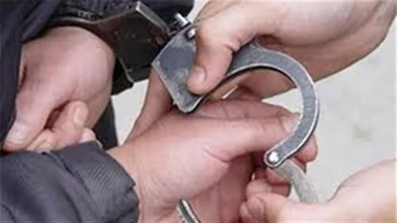 ضبط شخصين بحوزتهما 11 بندقية خرطوش و455 طلقة في القليوبية
