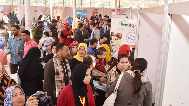«التضامن» تسعى لتوفير 30 ألف فرصة عمل للشباب حتى يونيو المقبل