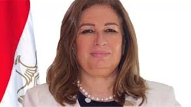 «ايتيدا»: مصر وجهة رائدة لمنطقة الشرق الأوسط فى «تعهيد البرمجيات»