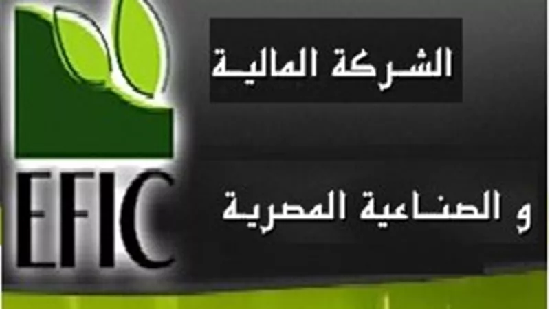 74.3 مليون جنيه صافى ربح «المالية والصناعية » خلال 9 أشهر
