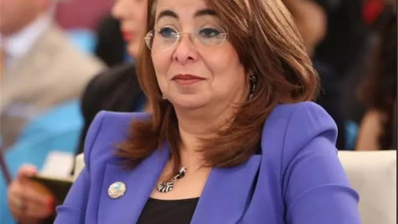 غادة والى: 98% من حجم تمويل الجمعيات من تبرعات المصريين