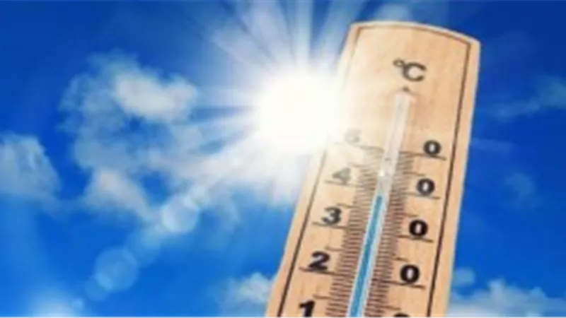 الأرصاد: طقس الغد مائل للبرودة.. والعظمى بالقاهرة 20