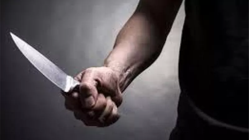 تجهيز «ربع مشكل» يتسبب فى مقتل «كبابجى» على يد عاطل فى الباجور 