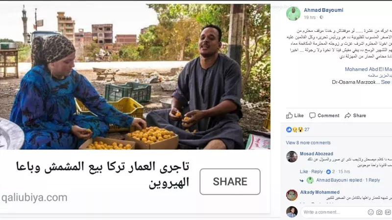 بالمستندات.. «قرية العمار» تقاضي موقع «مباشر القليوبية»