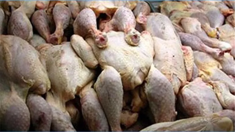 «الزراعة»: ضبط 12 طن دواجن ولحوم فاسدة بالمحافظات.. خلال أسبوع 