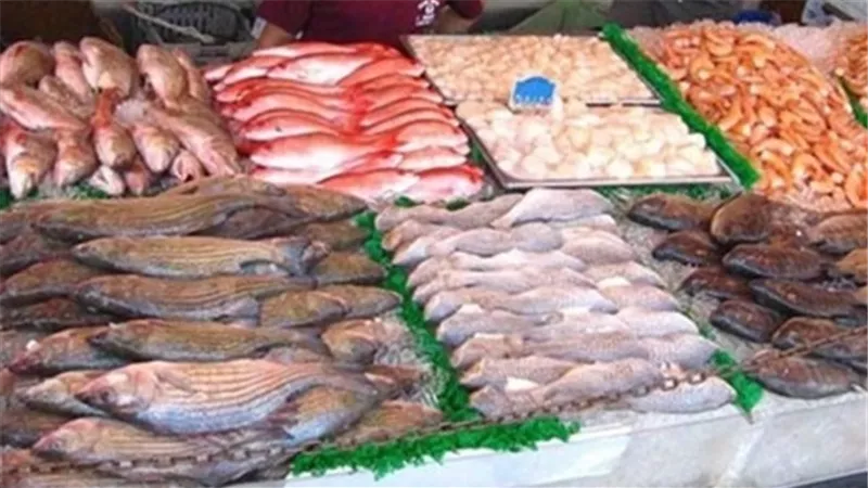 استقرار أسعار الأسماك .. و«السبيط» بـ 100 جنيها للكيلو