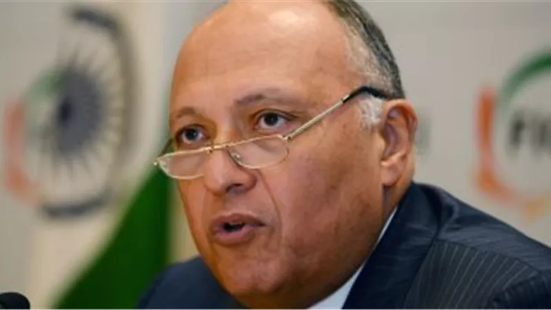 مؤتمر صحفى لوزيرى خارجية مصر وقبرص بقصر التحرير الثلاثاء