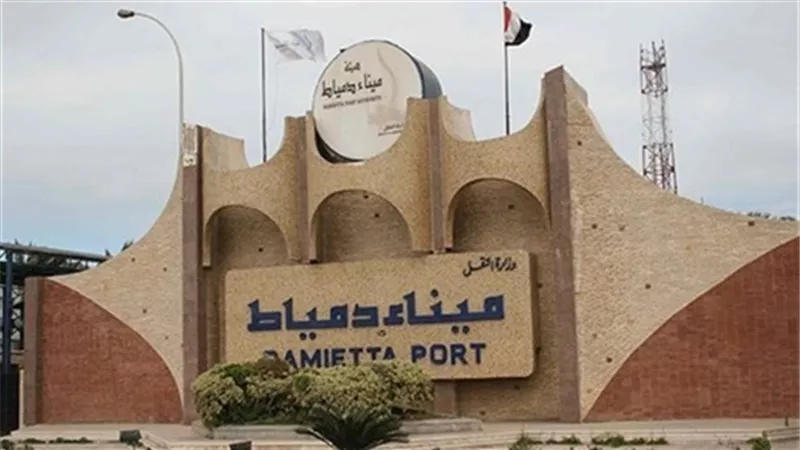ميناء دمياط يستقبل 11 سفينة حاويات وبضائع خلال 24 ساعة