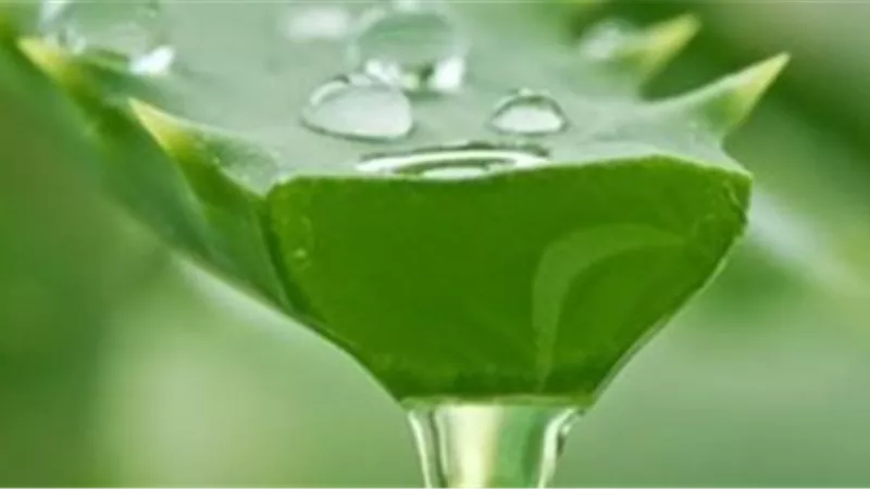 طرق أستخدام جل الصبار للعناية بالبشرة