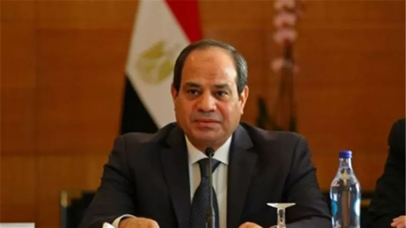 السيسي: وفرنا أراضي للمناطق الصناعية تشجيعا للاستثمار