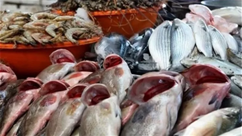 البلطي يسجل 19.5 جنيهًا والكابوريا بـ125 في سوق العبور