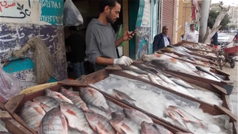  استقرار أسعار الأسماك.. و«البلطي» يسجل 19.50 جنيها