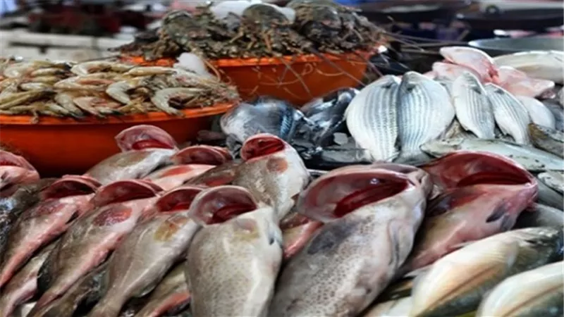 أسعار الأسماك اليوم.. و«البلطى» بـ20.5 جنيه 