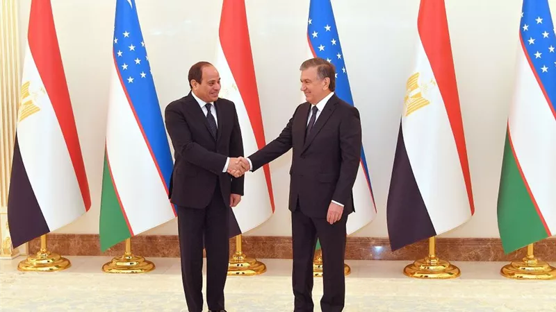 «السيسى» ونظيره «الأوزبكى» يتفقان على زيادة التبادل التجارى بين البلدين