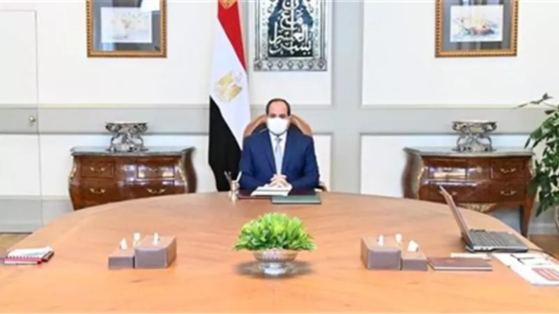 الرئيس السيسي يوجه بسرعة تطوير قطاع النقل البحري 